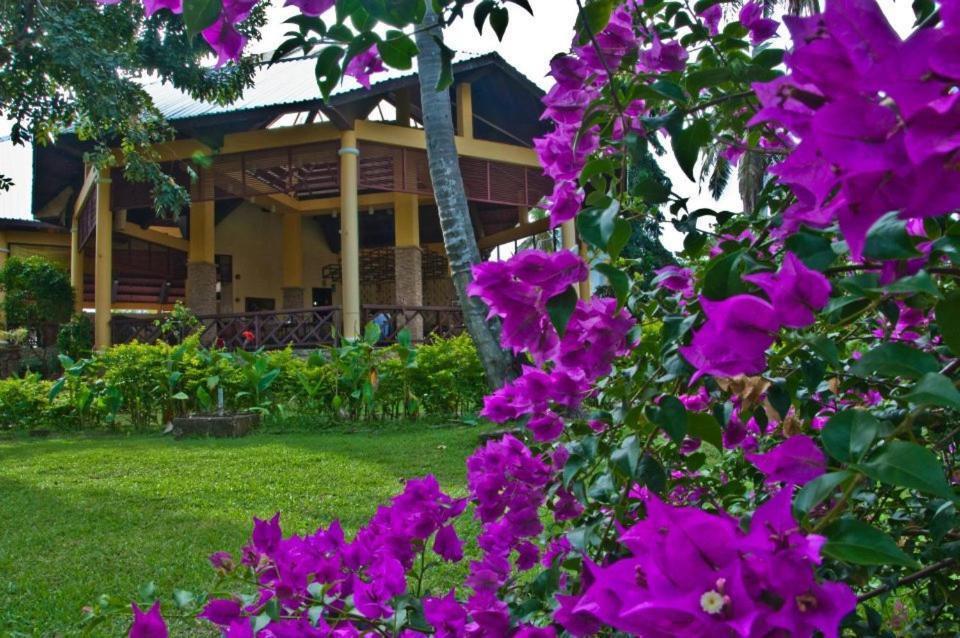 Crystal Paradise Resort Spa & Winery Нарра Экстерьер фото